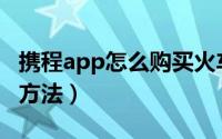 携程app怎么购买火车票（携程火车票的预定方法）