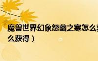 魔兽世界幻象怨幽之寒怎么获得（魔兽世界寒冬之握幻象怎么获得）