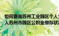 如何查询苏州工业园区个人公积金账号（怎么在网上查询个人苏州市园区公积金缴存状况）