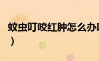 蚊虫叮咬红肿怎么办啊（蚊虫叮咬红肿怎么办）