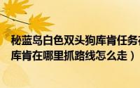 秘蓝岛白色双头狗库肯任务在哪儿接（魔兽世界白色双头狗库肯在哪里抓路线怎么走）