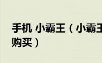 手机 小霸王（小霸王手机可以通过什么途径购买）