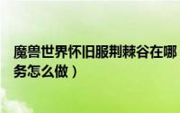 魔兽世界怀旧服荆棘谷在哪（魔兽世界怀旧服荆棘谷狩猎任务怎么做）