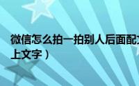 微信怎么拍一拍别人后面配文字（微信怎么拍一拍别人并附上文字）