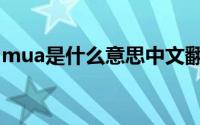 mua是什么意思中文翻译（mua是什么意思）