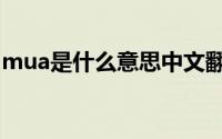mua是什么意思中文翻译（mua是什么意思）