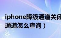 iphone降级通道关闭怎么降级（iPhone降级通道怎么查询）