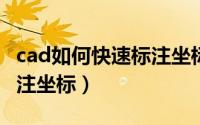 cad如何快速标注坐标插件（CAD如何快速标注坐标）