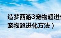 造梦西游3宠物超进化哪个厉害（造梦西游3宠物超进化方法）