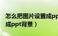怎么把图片设置成ppt背景（怎么把图片设置成ppt背景）