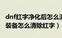dnf红字净化后怎么清除（DNF已经净化过的装备怎么清除红字）