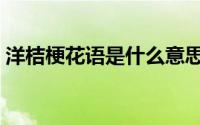 洋桔梗花语是什么意思（洋桔梗花语是什么）
