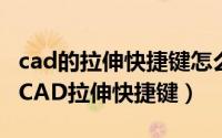 cad的拉伸快捷键怎么用（CAD拉伸怎么使用CAD拉伸快捷键）