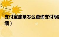 支付宝账单怎么查询支付明细（支付宝如何查询收支账单明细）