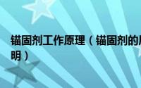 锚固剂工作原理（锚固剂的原理及使用方法相关注意事项说明）