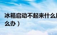 冰箱启动不起来什么原因（冰箱启动不起来怎么办）