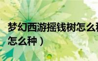 梦幻西游摇钱树怎么种最好（梦幻西游摇钱树怎么种）