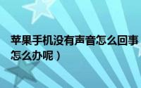 苹果手机没有声音怎么回事（苹果手机为什么没有声音了该怎么办呢）
