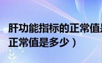 肝功能指标的正常值是多少啊（肝功能指标的正常值是多少）