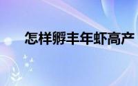 怎样孵丰年虾高产（怎样孵丰年虾卵）