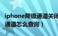 iphone降级通道关闭怎么降级（iPhone降级通道怎么查询）