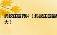 蚂蚁庄园药片（蚂蚁庄园最新答案有些人觉得胶囊类药品太大）