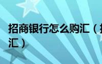 招商银行怎么购汇（招商银行如何查找外汇购汇）