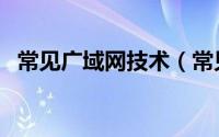 常见广域网技术（常见广域网协议及特点）