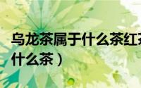 乌龙茶属于什么茶红茶还是绿茶（乌龙茶属于什么茶）