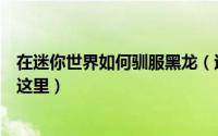 在迷你世界如何驯服黑龙（迷你世界怎么驯服黑龙答案就在这里）