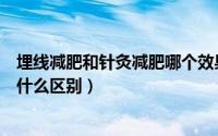 埋线减肥和针灸减肥哪个效果更好（埋线减肥与针灸减肥有什么区别）