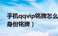 手机qqvip铭牌怎么隐藏（手机qq隐藏svip身份铭牌）