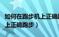 如何在跑步机上正确跑步视频（如何在跑步机上正确跑步）