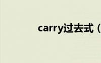 carry过去式（carry怎样读）