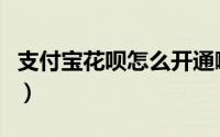支付宝花呗怎么开通啊（支付宝花呗怎么开通）
