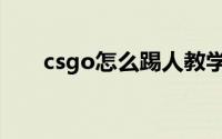 csgo怎么踢人教学（csgo怎么踢人）