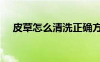 皮草怎么清洗正确方法（皮草怎么清洗）