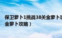 保卫萝卜1挑战38关金萝卜攻略（保卫萝卜挑战关38之全清金萝卜攻略）