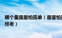 哪个星座最怕孤单（最害怕孤独的星座甚至可能一辈子孤独终老）