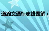 道路交通标志线图解（道路交通标志线图解）