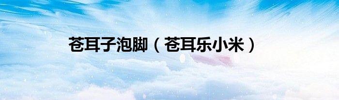苍耳子泡脚（苍耳乐小米）