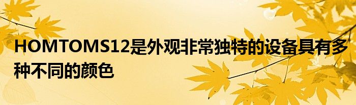 HOMTOMS12是外观非常独特的设备具有多种不同的颜色