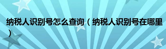 纳税人识别号怎么查询（纳税人识别号在哪里）
