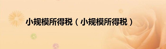 小规模所得税（小规模所得税）