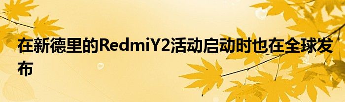 在新德里的RedmiY2活动启动时也在全球发布