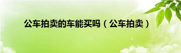 公车拍卖的车能买吗（公车拍卖）