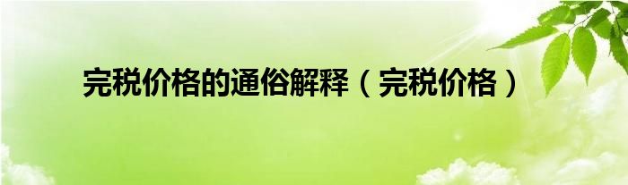 完税价格的通俗解释（完税价格）