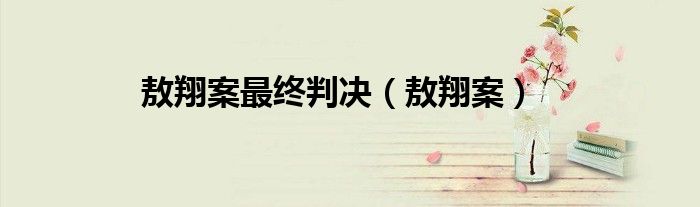 敖翔案最终判决（敖翔案）