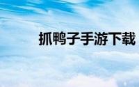 抓鸭子手游下载（抓鸭子什么梗）