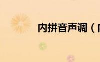 内拼音声调（内拼音怎么拼）